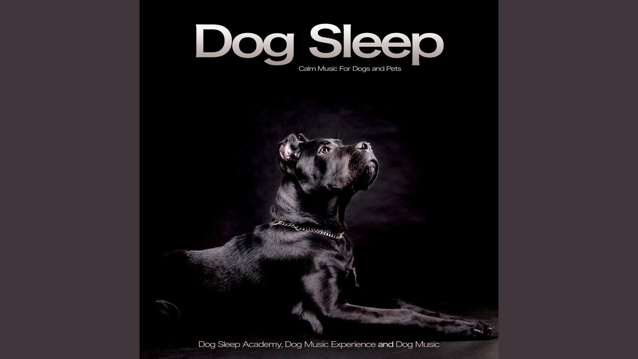 Throw Me A Bone - YouTube