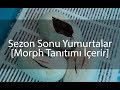 Son yumurtalar kesildi - Morph Sohbet