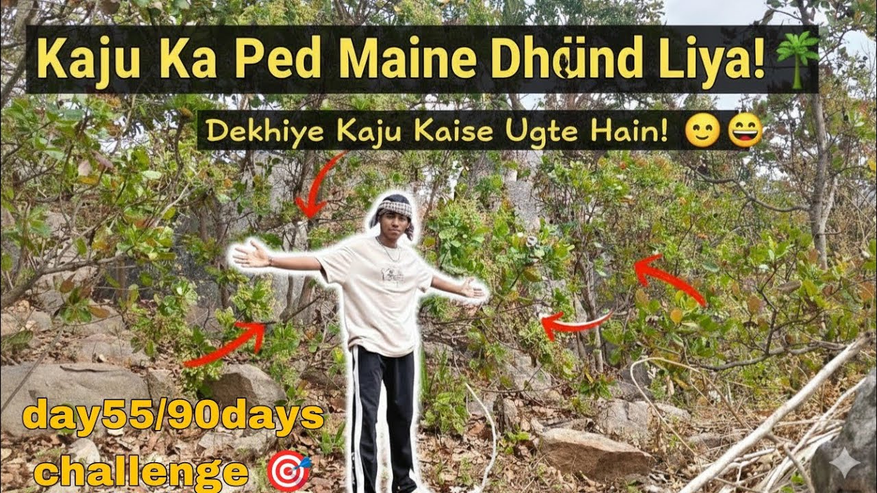 Pahadon Mein Hamari Kheti 🏔️ | Dekhiye Kaju Ke Ped Kaise Hote Hain? 🌰🌳🌱# Pahadi Lifestyle Vlog