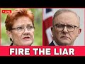 Albo PANICS as Labor's Anti-Hanson Campaign BACKFIRES | One Nation Raises $1.14 MILLION in 24hrs