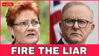 Albo PANICS as Labor's Anti-Hanson Campaign BACKFIRES | One Nation Raises $1.14 MILLION in 24hrs