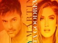 Ricky Martin Vente Pa Ca Ft Delta Goodrem mp3