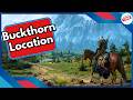 Buckthorn Location in Witcher 3