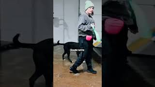 Getting control over a dog’s jumping #dogtraining #dogtrainer #stopjumping