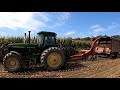 Chopping Corn Silage