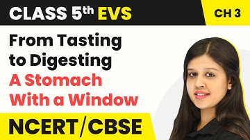 Class 5 EVS Chapter 3 | From Tasting to Digesting - A Stomach With a Window | Class 5 EVS NCERT