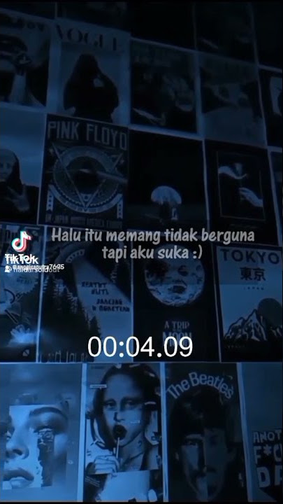 story wa halu
