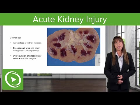Acute Kidney Injury (AKI): Staging and Etiology – Nephrology  | Lecturio