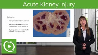 Acute Kidney Injury (AKI): Staging and Etiology - Nephrology | Lecturio