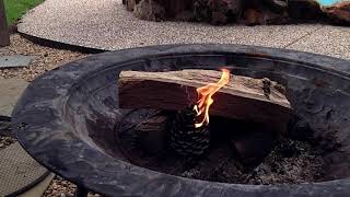 Lighting Pine Cone Fire Starters (in the rain!)