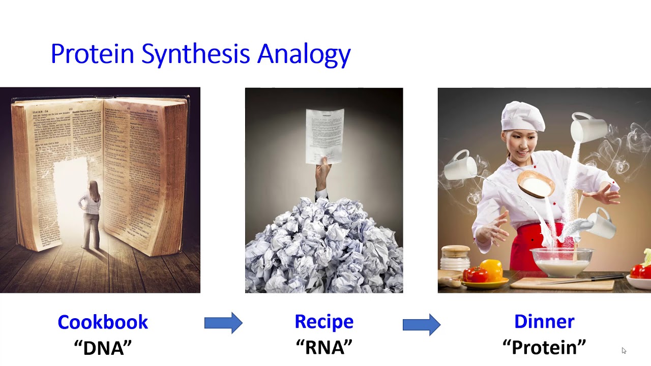 The religion of politics differ from. God created humanity not manmade robotics. God made STRUCTURE!
