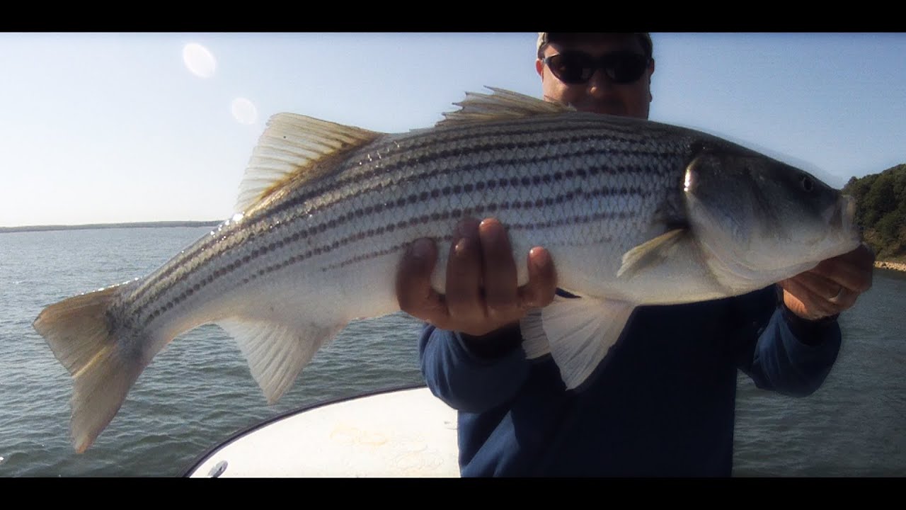 Spring Fishing, Long Island, New York YouTube