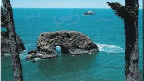 الشيخ نبيل الرفاعي سورة الأعلى