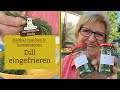 Dill ernten und einfrieren: Anleitung und Infos | Vorratshaltung