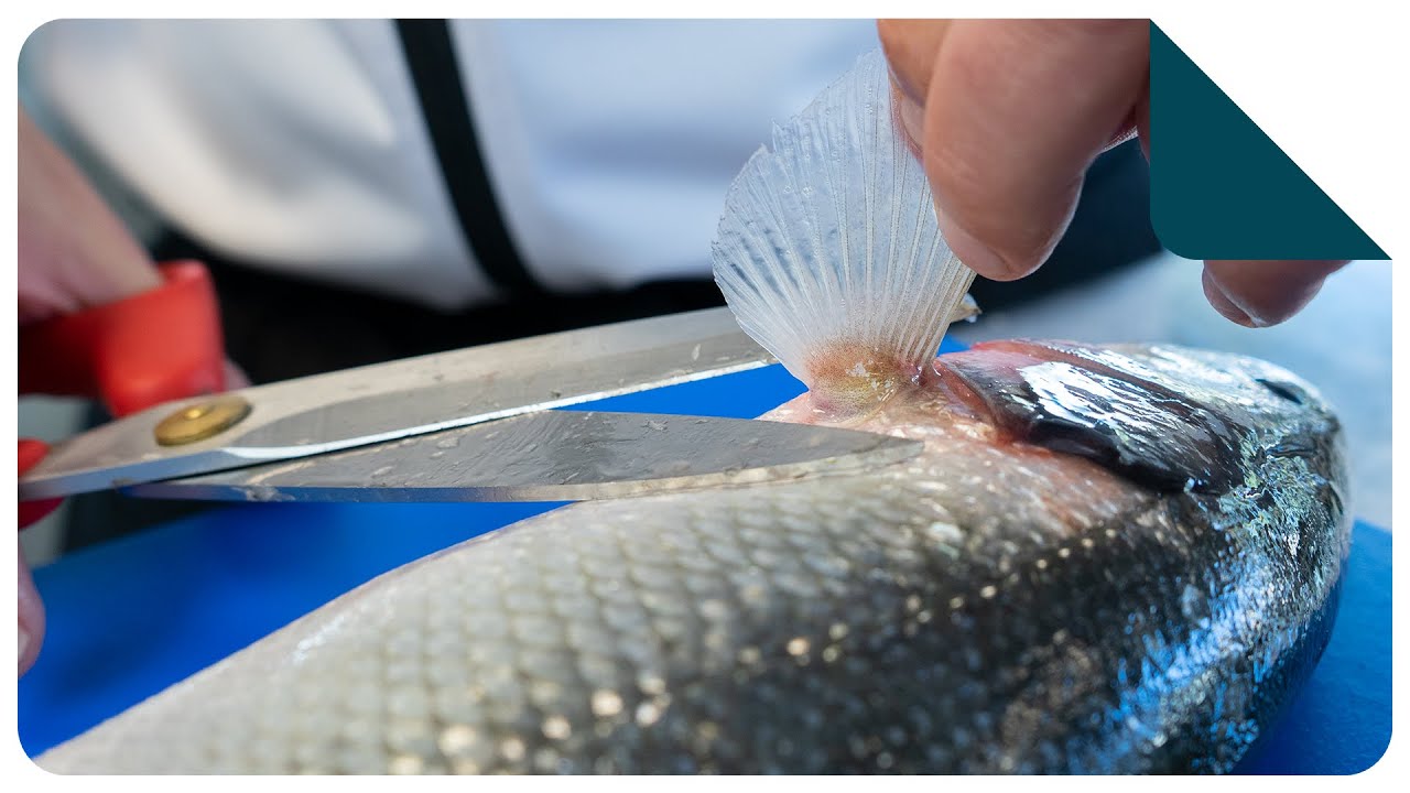 Schoonmaken van een zeebaars | Keukentechniek