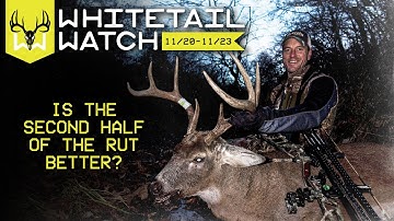 How Good is the Back Half of the Rut? How to Hunt It | Whitetail Watch w/ Bill Winke
