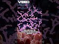 Microbes complicate Fukushima recovery - theTokyoBill Japan news brief #Japan #Tokyo #microbiology