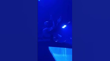 Thumbnail of Shaq AKA DJ Diesel Live Performance Part 2 #shaq
