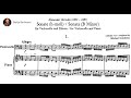 Miniature de la vidéo de la chanson Cello Sonata In B Minor: Allegro