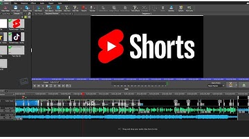 How to Make YouTube Shorts/Tiktoks With VIDEOPAD EDITOR (2024)
