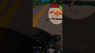 Crazy Biker Crashes Into Deer!