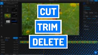 How to Cut, Trim & Resize a video | Video Editing Basics | Flixier