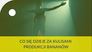 Co Dzieje Się Za Kulisami Produkcji Bananów?
