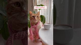 Download Lagu I like coffee ☕️🐈 #coffee #introvert #cutecats MP3