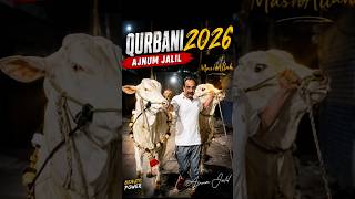 Home Qurbani 2026 Anjum Jalil & Faiez Jalil #bakraeid #eiduladha #eid