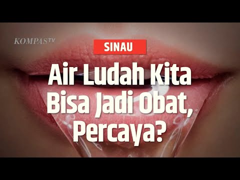 Video: Mengapa kelenjar air liur penting?