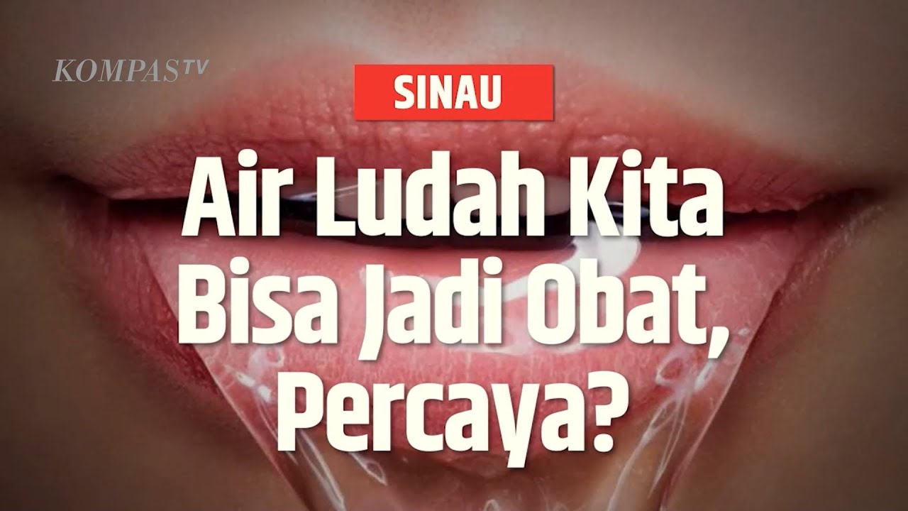 Tahukah Kamu, dalam Sehari Kita Bisa Menghasilkan 2 Liter Air Liur Lo!SINAU YouTube