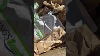 Gardening NZ - Cover Crops - Kings Seeds
