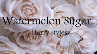 Harry styles - Watermelon Sugar (Lyrics)