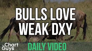 Stock Market Review August 31St, 2020