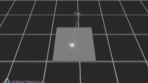 High-Speed 3D Tracking of Chlamydomonas with Phase-Contrast Microscope