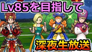 【ドラクエウォーク】まものマスターレベル85を目指して！深夜のレベル上げ生放送！