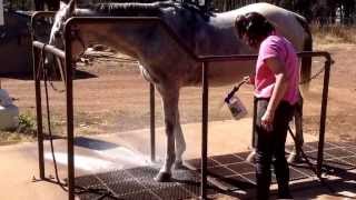 Dude How Sweaty Are You.