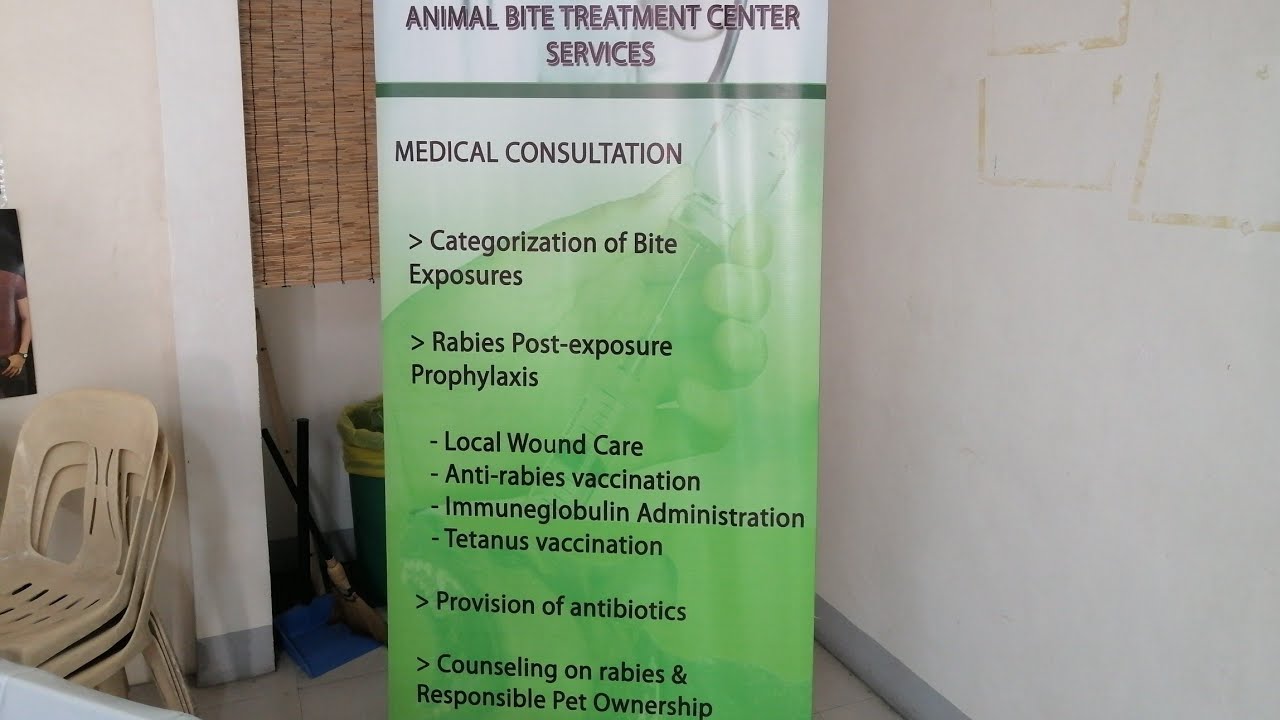 Vaccination for dog bite! - YouTube