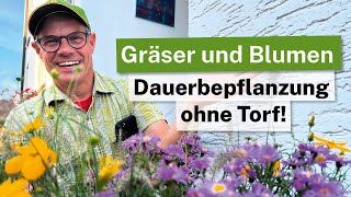 Gräser und Blumen: Dauerbepflanzung ohne Torf!