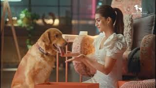 Everything Your Pet Needs | Heads Up For Tails