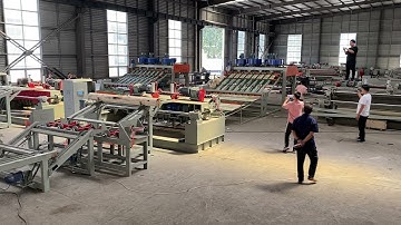 8 Feet veneer peeling line 1 sets log debarker for 2 sets peeling machine