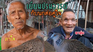 เยี่ยมอาจารย์ใหญ่…พร้อมนกเขาใหญ่นกต่อคู่ใจของท่านทั้ง 2