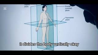 The Body Planes Explained in 1 Minute. Frontal Plane. Transverse Plane. Sagittal Plane.