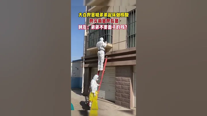 顫音太逗了！為了給弟弟做核酸，大白爬完前窗爬後窗。【真相記】 - 天天要聞