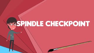 What is Spindle checkpoint, Explain Spindle checkpoint, Define Spindle checkpoint