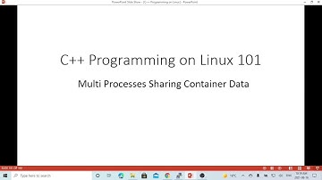 C++ Programming on Linux - Two Processes sharing Vector using shared memory