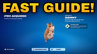 How To COMPLETE ALL HAMMY SIDEKICK REWARDS QUESTS CHALLENGES in Fortnite! (Earn Sidekick Points)
