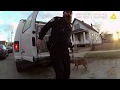 Cleveland Police Drug Raid Uncovers Dog Fighting Ring; Twelve Dogs Rescued