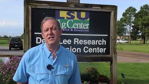 Welcome from Dr. Michael Salassi