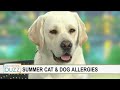 Butter (and Dr. Eric Ruhland) answer your pet allergy questions | FOX 9 Morning Buzz